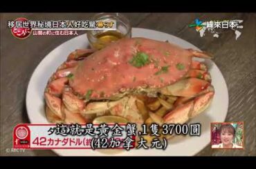 賀来千香子(カナダ)朝加真由美(スウェーデン)