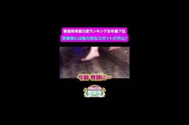 【行列のできる相談所】これで最下位はありえない…！！