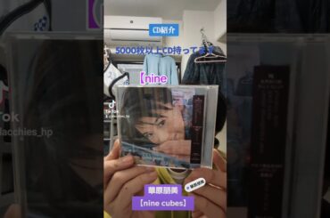 CD大好き芸人622-華原朋美さん編⑭-