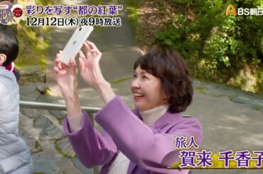 彩りを写す "都の紅葉"【あなたの知らない京都旅 ～１２００年の物語～】