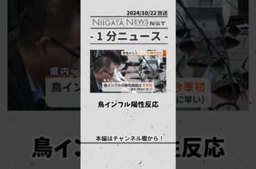 鳥インフル陽性反応