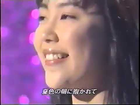 懐かし  イルカの夏  木村佳乃 1998年スタジオ収録