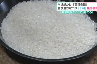 発見はなんと1955年ごろ！突然変異とみられるコメが半世紀をかけ「品種登録」　香り豊かなコメ『十和』販売開始