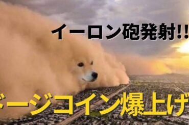 ドージコインが急騰！イーロン・マスクが引き起こす次の大波【今が仕込み時!?】