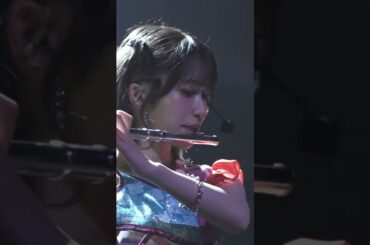 241126 HKT48 13th Anniversary Concert Night Performance #shorts