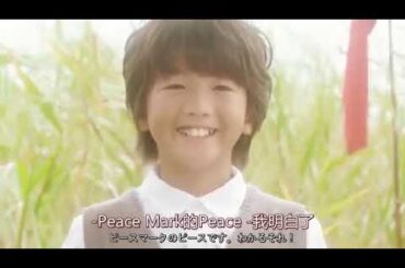 宮部みゆき：原作「摸倣犯」～後編　出演：中谷美紀、坂口健太郎、満島真之介、山本裕典、清水富美加、濱田龍臣、久保田紗友杉「中文字幕」