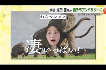 「セイ、いっぱい！西予市」初の観光アンバサダーに俳優・堀田茜さん　合併２０年動画で魅力ＰＲへ【愛媛】 (24/12/12 18:49)