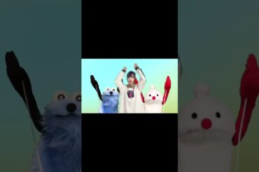 すんすんしてみた