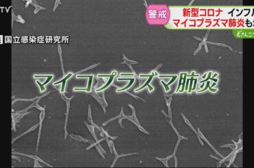 コロナにインフル、マイコプラズマも！“三大感染症”にご用心…札幌市でも患者急増