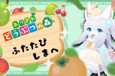 【あつまれどうぶつの森】フィードラ再び島開拓へ！！