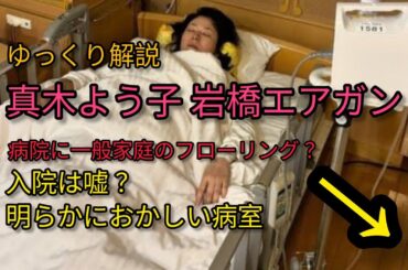 真木よう子 岩橋エアガン狙撃事件  入院は真実か？否か？【ゆっくり解説】