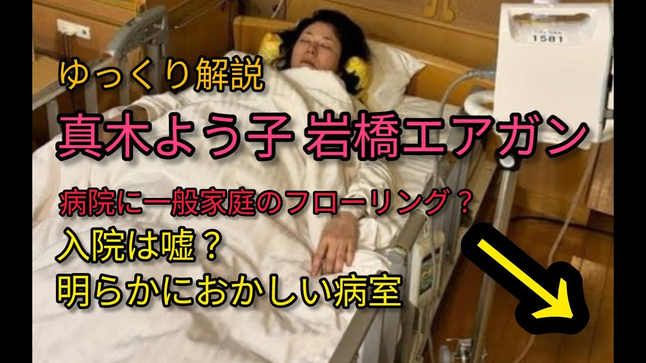 真木よう子 岩橋エアガン狙撃事件  入院は真実か？否か？【ゆっくり解説】