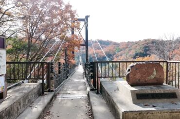 Stroll in ほしだの森 星のブランコ 2024.12.13