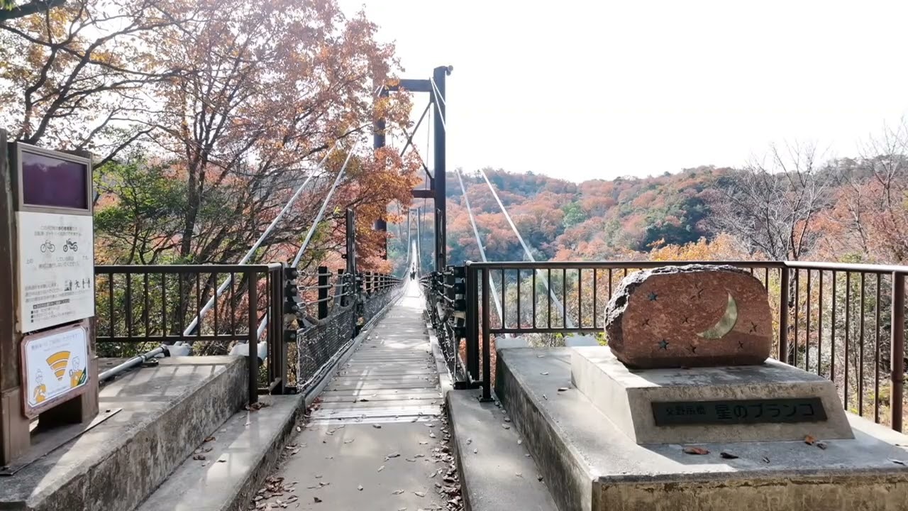 Stroll in ほしだの森 星のブランコ 2024.12.13