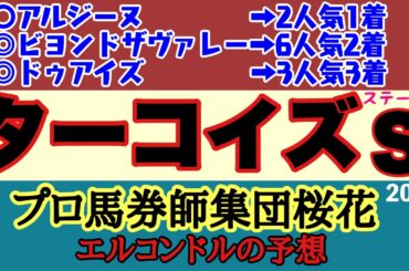 エルコンドル氏のターコイズステークス2024予想！！ハンデ戦で3歳牝馬の人気集めるミアネーロだが古馬とは初対戦で実力差はいかに！？ハンデ戦ゆえに力差は皆無に等しく難解！