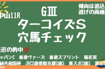 📉ターコイズS穴馬チェック📉先行力ある馬に穴馬候補が❗ハンデ戦の立回り勝負🔥