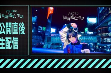PEDRO逃亡直後生配信