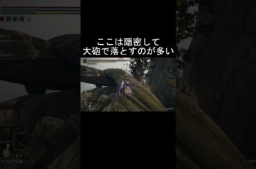エルデンリング 地獄の侵入 攻略勢狩りを狩る元闇！  ELDEN RINGDLC #elden #eldenringdlc #ダクソ3