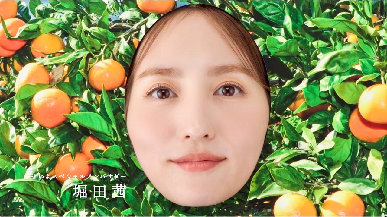 堀田茜、愛媛県西予市のアンバサダーに就任!顔出しパネルで体を張ってPR/西予市PR動画 堀田茜、愛媛県西予市のアンバサダーに就任!顔出しパネルで体を張ってPR/西予市PR動画