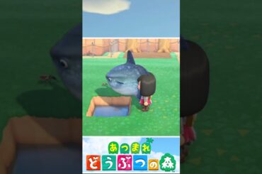 マンボウを小さい穴に逃がすと…【あつ森】【あつまれ どうぶつの森】【細かすぎる小ネタ】