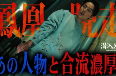 【潜入兄妹】最終話 衝撃のラストを完全解説!!鳳凰の脱走劇…手引きしたのは〇〇？残る謎潜むオレパの正体とは？【幻獣】【九頭龍】