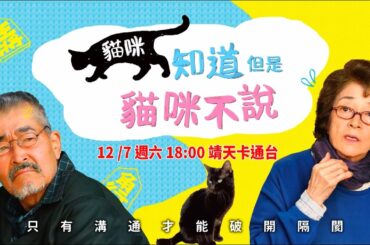 《貓咪知道但是貓咪不說 Only The Cat Knows》｜ 改編自日本漫畫家西炯子《父親，我已經不是小孩子了》