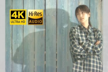 [Zard 자드] 『君に逢いたくなったら···』