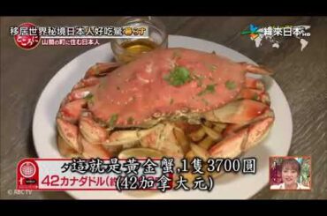 賀来千香子(カナダ)朝加真由美(スウェーデン)