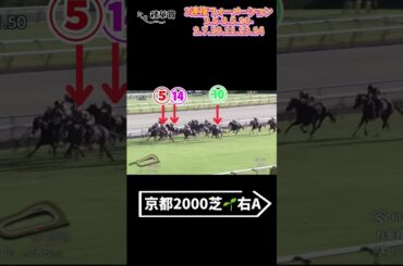 2024秋華賞結果🍁3連複的中ｷﾀ━(ﾟ∀ﾟ)━!次は菊花賞予想🐴がんばろう🔥#競馬予想 #競馬女子 #秋華賞 #3連複 #菊花賞