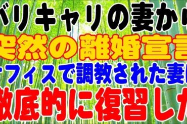 【修羅場】バリキャリの妻から、突然の離婚宣言。オフィスで調教された妻に、徹底的に復習した。
