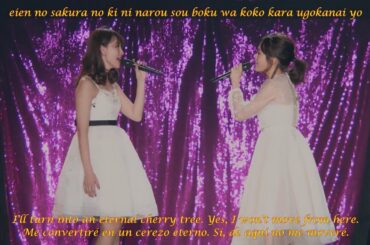 AKB48 · Haruna Kojima & Atsuko Maeda 2017 Sakura no Ki ni Narou (Sakiko Matsui on piano)