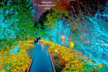 4K60【南新宿イルミネーションツアー】新宿東口へ 2024 東京 Japan