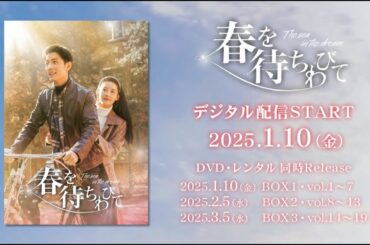 中国ドラマ「春を待ちわびて～The sea in the dream～」2025年1月10日（金）DVD-BOX発売！【公式】