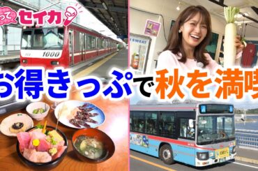 井上清華キャスターが"お得きっぷ"で行楽の秋を満喫トリップ！東京都心から約1時間の三浦・三崎エリアや横浜中華街で絶品グルメ堪能&中国の宮廷衣装で写真撮影などアクティビティ体験も【やってセイカ！】