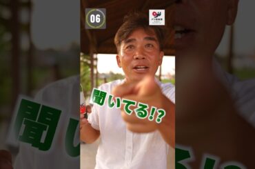 【バリ島】現地ツアー代表が最近最も感動した瞬間【バリ島30秒お役立ち情報】#shorts #バリ島 #バリ俱楽部