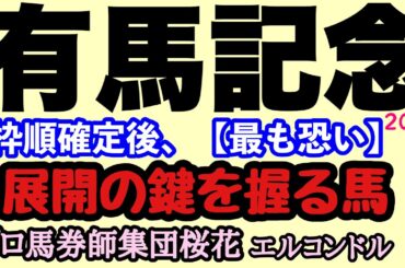 エルコンドル氏の有馬記念2024最も恐い伏兵馬！！さぁいよいよ枠順が決まりレースが近づいてきた！枠順確定後最も恐い伏兵馬になりそうな馬とは！？