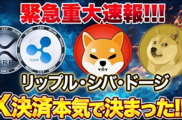🚨緊急🚨ガチでx決済通貨が決まりました！！リップルとドージの保有者は必ず見て！！！