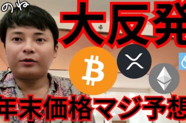 ビットコイン大反発なぜ？年末価格をマジ予想します。【仮想通貨 暗号通貨 暗号資産 BTC ETH XRP SOL SUI他】