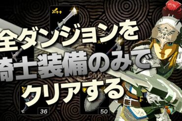 オールダンジョン装備縛り攻略解説『騎士装備編』【ゼルダの伝説 ティアーズ オブ ザ キングダム】