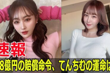 3 8億円の賠償命令、てんちむの運命は？