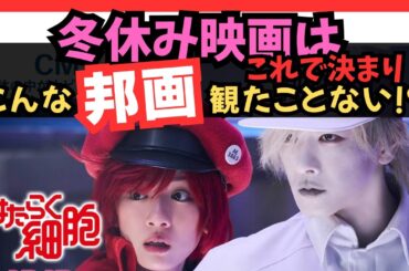 映画感想！【はたらく細胞】冬休み映画はコレで決まり！おすすめ映画です！