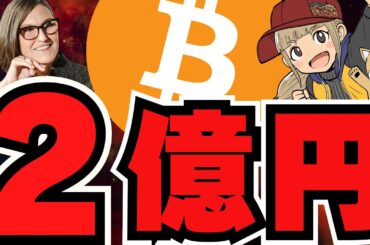 【🔥億り人】ビットコイン2.3億円！上昇フェーズをつかめ／XRPにイーロンマスクが言及／メタプラネットに黄色信号説？今後どうするべき？／来年はAIエージェントバブル！