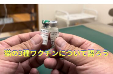 猫用ワクチンの現状とこれからの注意点　ワクチン接種は計画的にお早めに【キャンベル動物病院】