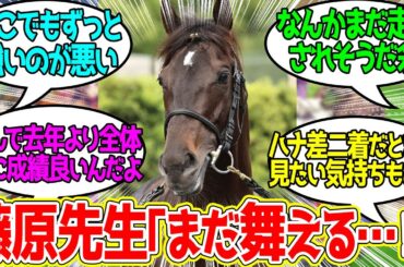 おい…どうしてニシノデイジーやディープボンドの方が先に引退表明している…に対するみんなの反応！【競馬 の反応集】