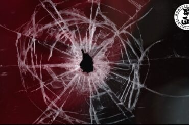 レディ・デスが大臣を狙撃『山猫は眠らない8 暗殺者の終幕』（吹替版）