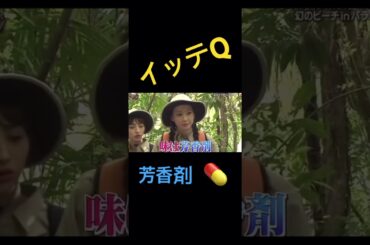 【イッテQ】デヴィVS小デヴィwww