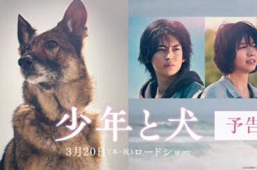 映画『少年と犬』予告映像【2025年3月20日(木・祝)公開】