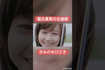 堀北真希の全盛期 #堀北真希 #黒木メイサ