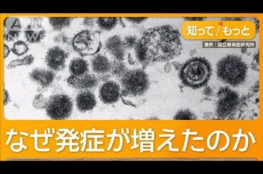 帯状疱疹のワクチン定期接種へ　50代から急増　激しい痛み「顔面神経まひ」「失明」も【もっと知りたい！】【グッド！モーニング】(2024年12月22日)