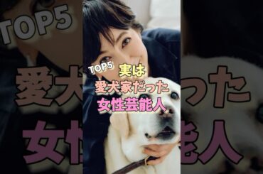 実は愛犬家だった女性芸能人TOP5 #桐谷美玲 #深田恭子 #石田ゆり子